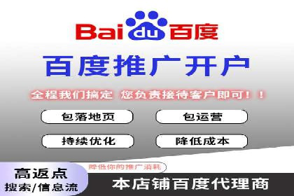 托管竞价sem案例分享：某电商平台的成功之路